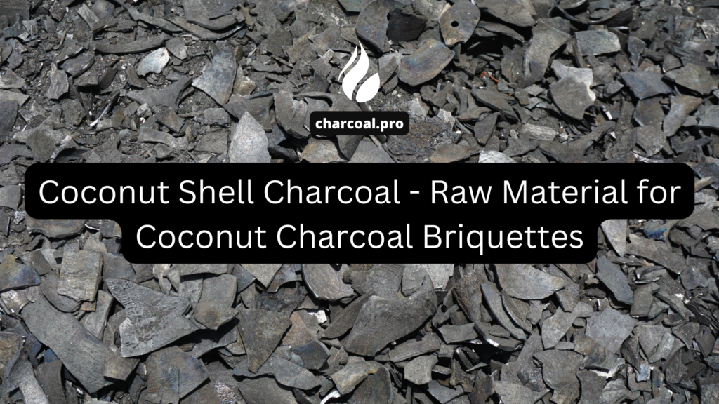 Coconut Shell Charcoal - Raw Material for Coconut Charcoal Briquettes