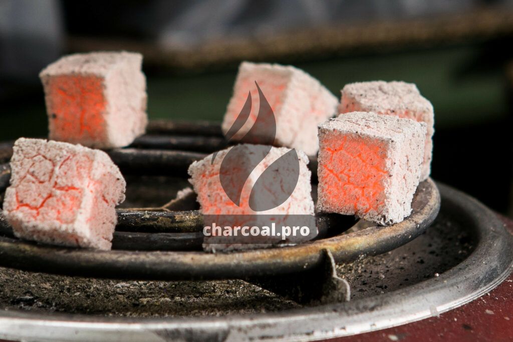 coconut shell charcoal ash color