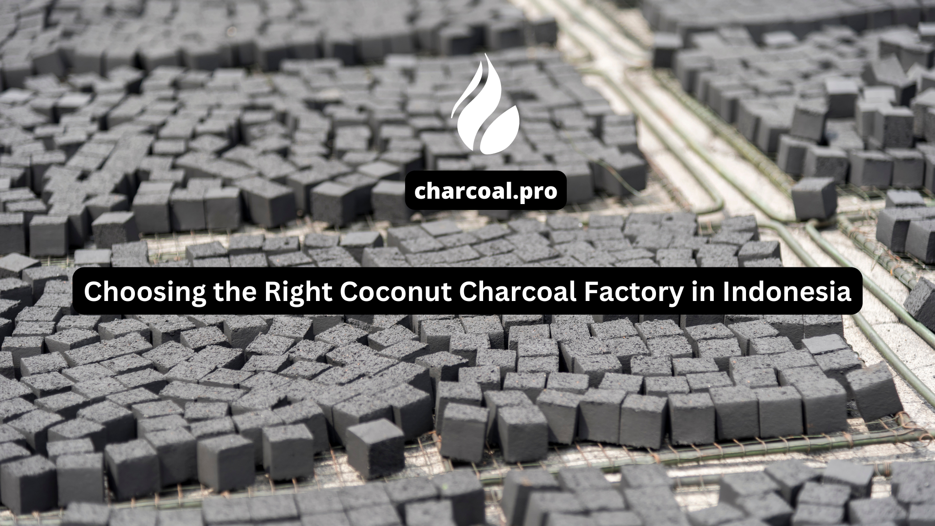 Choosing the Right Coconut Charcoal Factory in Indonesia