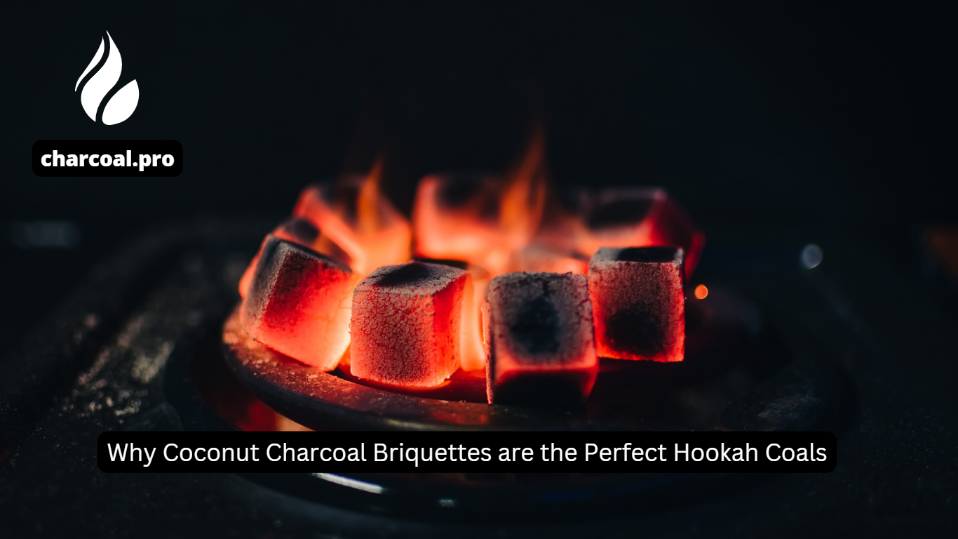Why Is The Best Hookah Coals Is The Coconut Shell Charcoal