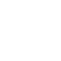 Phone Call Icon