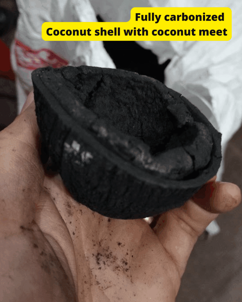 Quality Of Coconut Shell Charcoal 1 fully carbonized coconut including shell and coconut meat